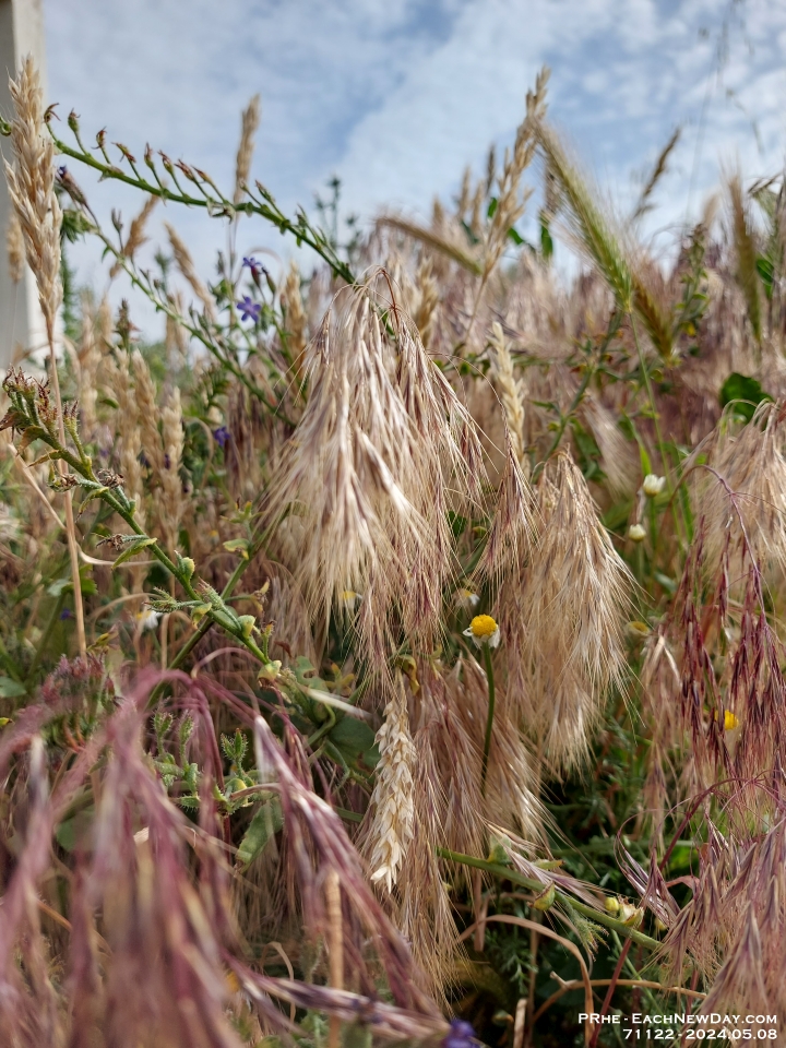 71122 - Footsteps of Paul - On the way to Berea